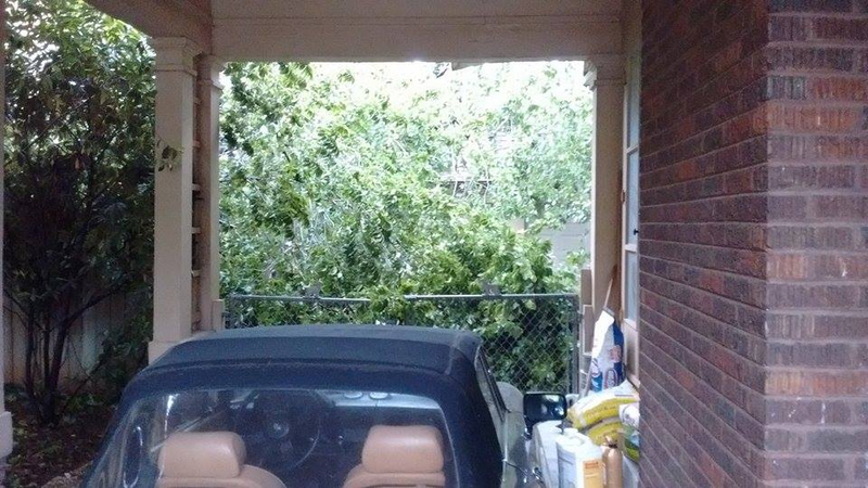 The Alfa got lucky!